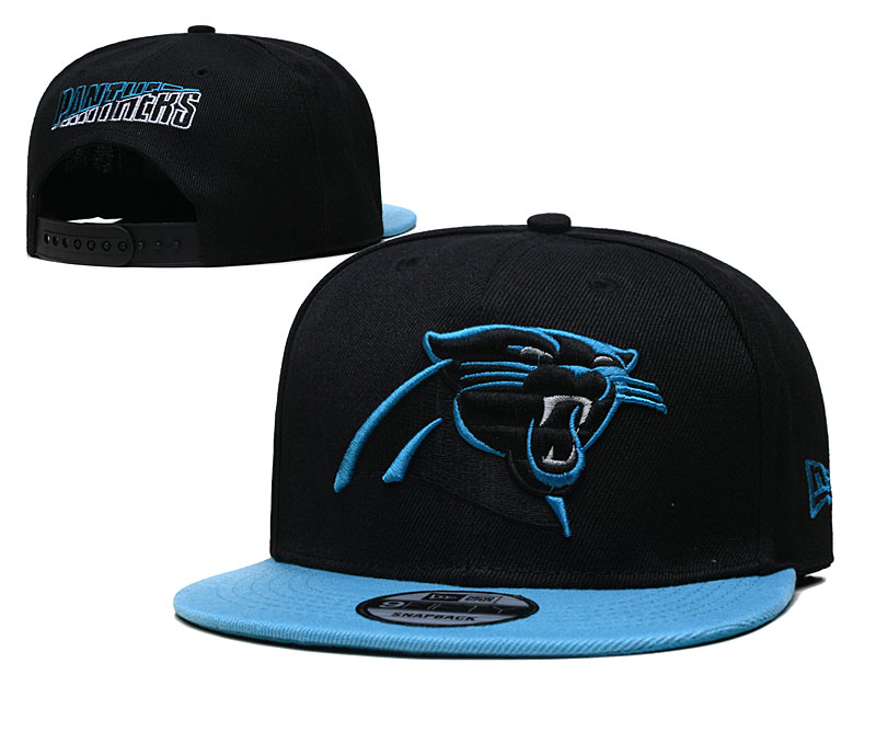 2021 NFL Carolina Panthers 133 TX hat->nfl hats->Sports Caps